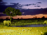 crépuscule