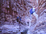 olive trail passage délicat
