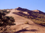 Elim Dune
