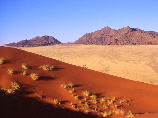 Elim Dune