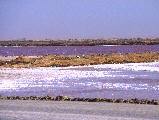 Salines de Walvis Bay